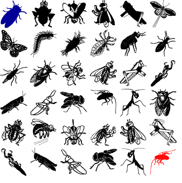 Font: Insects released: 